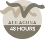 Alilaguna 48H Ticket