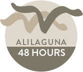 Alilaguna 48H Ticket